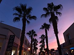 Cala d'Or bei Nacht