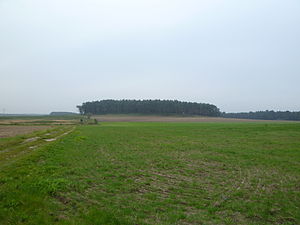 The Saalberg near Mannhausen and Velsdorf