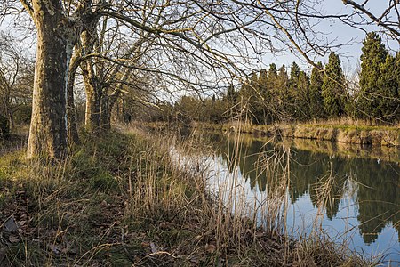 Canal du Midi