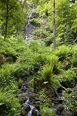 Canonteign Falls