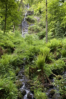 Canonteign Falls CanonteignFalls.jpg