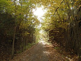 Sentier Cataraqui à l'est de Chaffey's Lock DSCN2187r.jpg