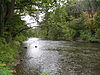 Catawissa Creek in Catawissa Township