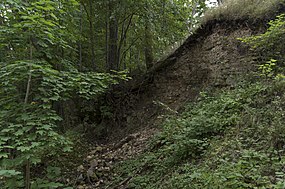 Cepļa dolomīta atsegums