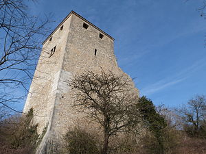 Château de Saint-Denis-en-Bugey1.JPG