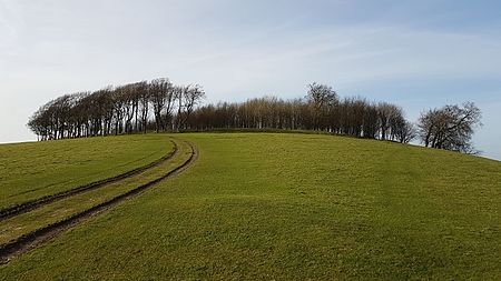 Chanctonbury Ring south east view