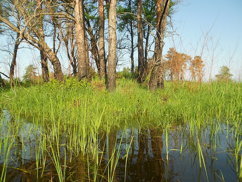 File:Cherkas'kyi district, Cherkas'ka oblast, Ukraine - panoramio (87).jpg