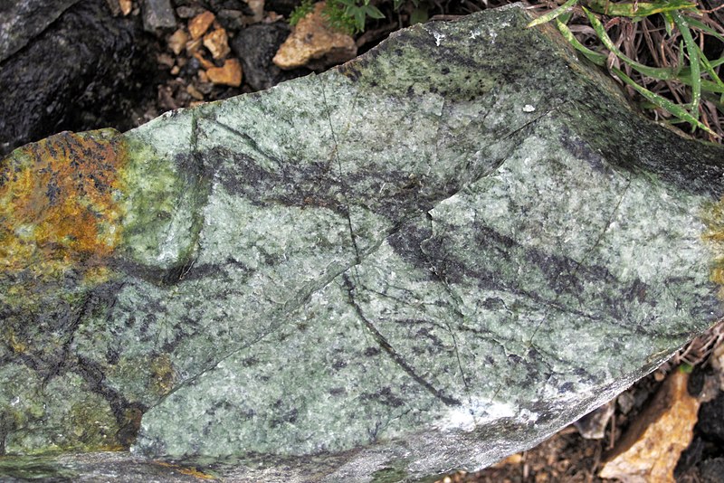 File:Chromite band in serpentinite (Neoarchean; Red Lodge Chromite District, Beartooth Mountains, Montana, USA) 1.jpg