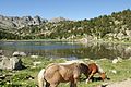 Circ dels Pessons (Encamp) - 28.jpg