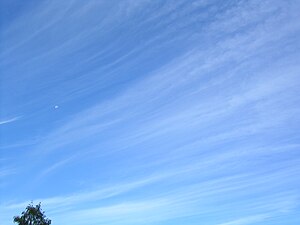 Cirrus Cloud