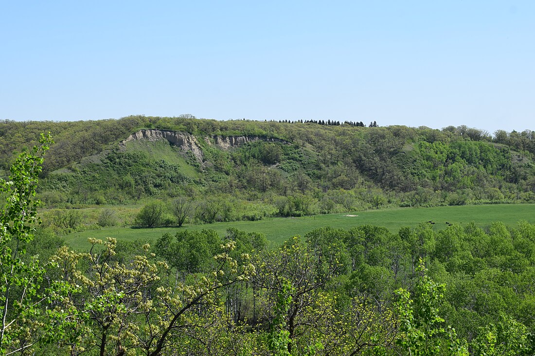 Картрайт-Роблін