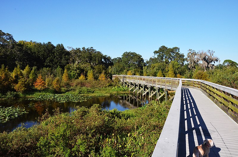 File:Clearwater,Florida,USA. - panoramio (126).jpg