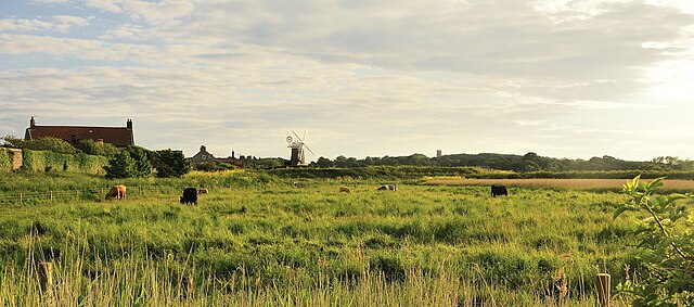 Image: Cley windmill, from Beach Road, Cley next the Sea   geograph.org.uk   3005259 (cropped)