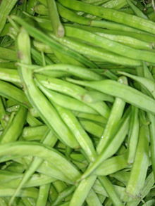 Cluster bean.jpg