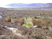 Carrowmore Gölü