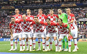 Stipe Pletikosa. Croatia v Cameroon. Group match. FIFA World Cup