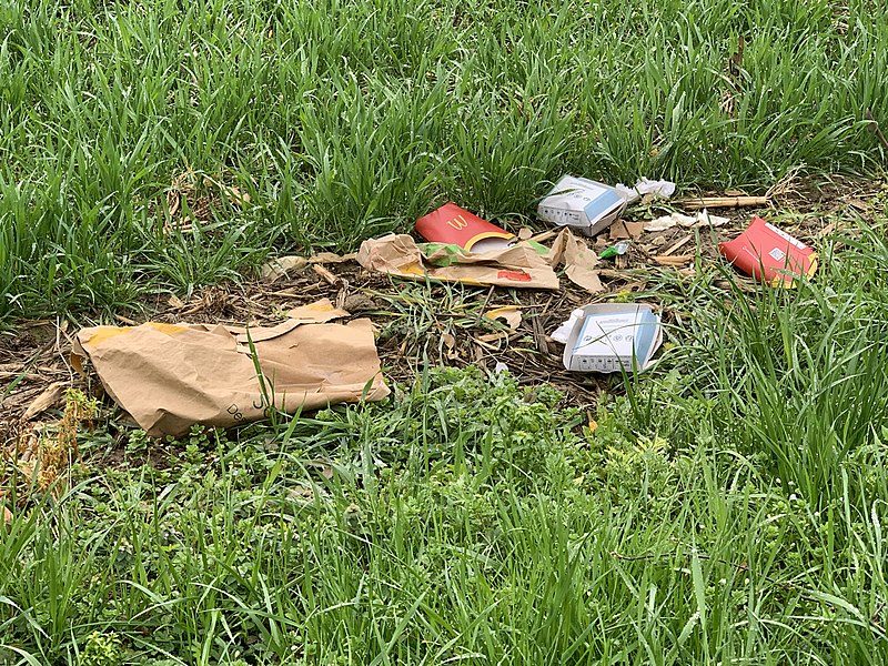 File:Déchets du McDonalds dans un champ de Saint-Maurice-de-Beynost.jpg