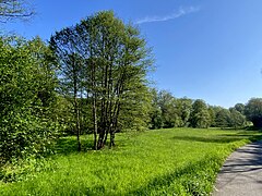 Dörpeaue zw. Sonnenschein und Dörpe