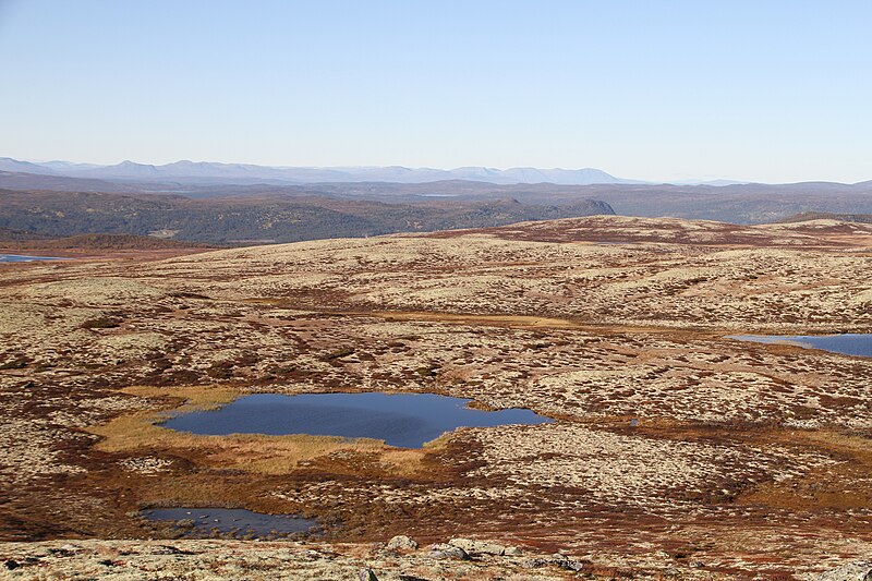 File:Dagalifjell Löytetjönn vestre 1203 masl IMG 1319.JPG