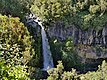 Dawson Falls, New Zealand.jpg