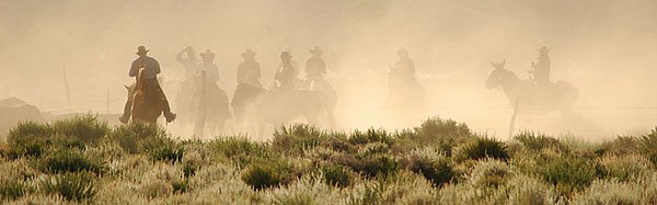 Deep Springs students and staff moving cattle