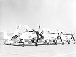 Douglas AD Skyraiders parked at Indian Springs Air Force Base in 1955.jpg