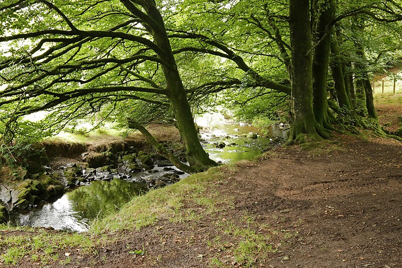 File:Downstream at Robbers Bridge - geograph.org.uk - 5123266.jpg