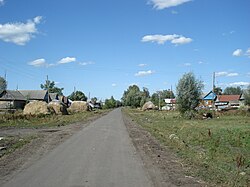 Dorf Drakino im Bezirk Torbeyevsky