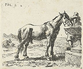 drinking horse