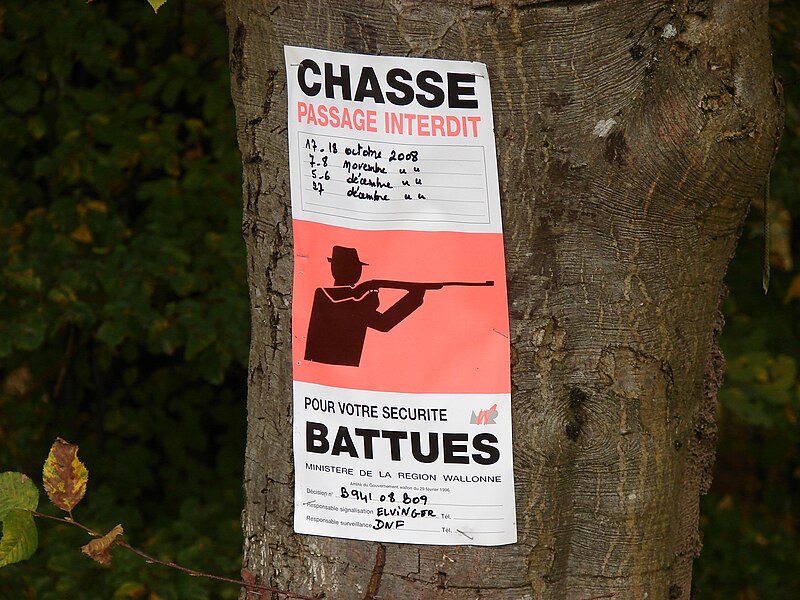 File:Driven hunting warning sign Wallonia 01.jpg