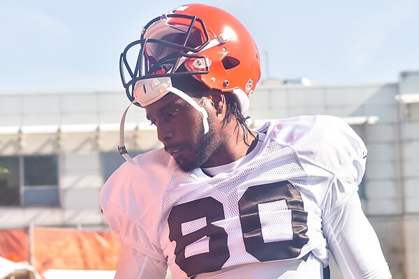 Bowe with the Cleveland Browns in 2015