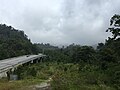 East-West Highway Wildlife Viaduct 1.jpg