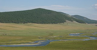 <span class="mw-page-title-main">Egiin Gol</span> River in Mongolia