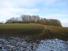 Der Burgberg bei Eigenrieden