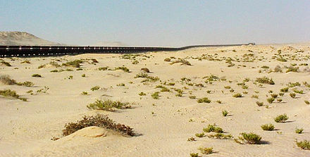 The train snakes through the Mauritanian desert.