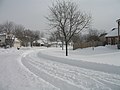 Elk Grove Village, Illinois için küçük resim