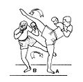 10 – Spinning hook-kick (coup croché et retourné)