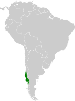 Distribución geográfica del churrín grande.