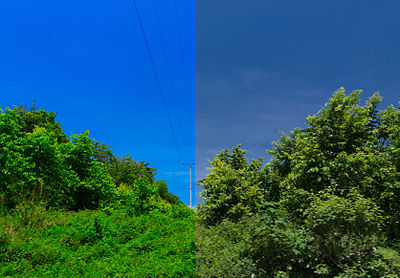 An example of color enhancement using LAB color mode in Photoshop. The left side of the photo is enhanced, while the right side is normal.