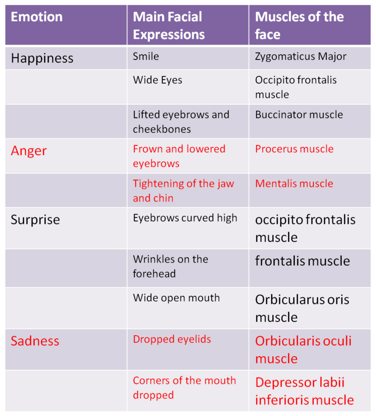 Expression примеры. Muscles of facial expressions. Types of Set expressions. Set expressions and their Types.