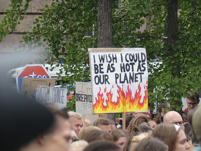 File:FFF Berlin 2019-07-19 134.jpg