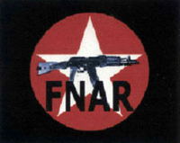 Иллюстративное изображение статьи «Вооруженная фракция националистов-революционеров»