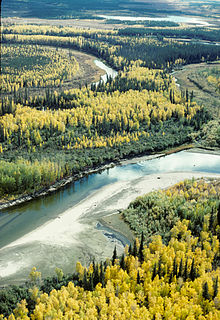 Осень в юконском заповеднике Yukon Flats