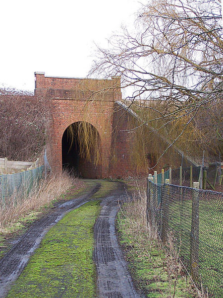 File:Farm track under railway - geograph.org.uk - 662864.jpg