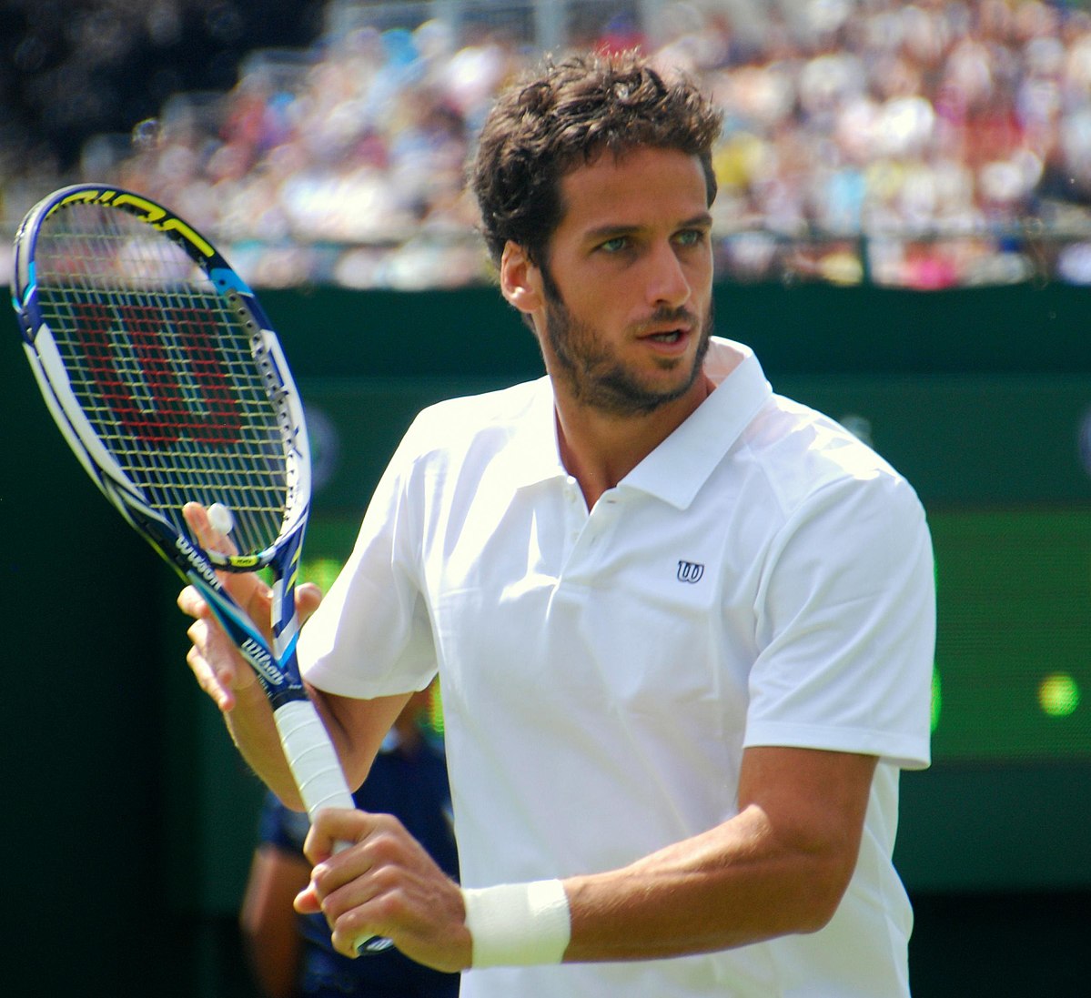 File:Feliciano Lopez Wimbledon 2014.jpg - Wikimedia Commons.