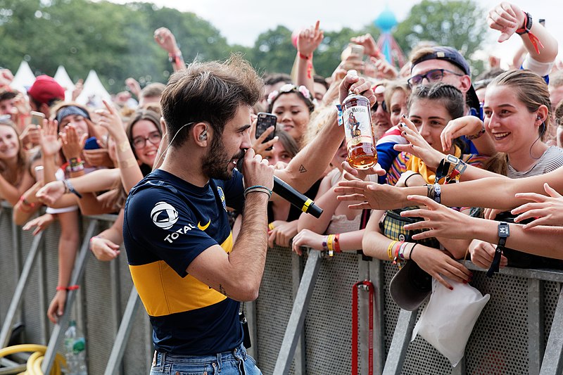 File:Festival des Vieilles Charrues 2018 - Therapie Taxi - 124.jpg