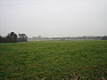 Field at Aldergrove - geograph.org.uk - 115400.jpg