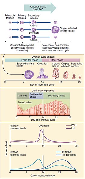 File:Figure 28 02 07.jpg