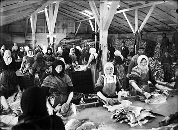 Dones que treballaven a una fàbrica de peix de Reykjavík, c. 1910