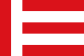 Официјално знаме на Ајндховен